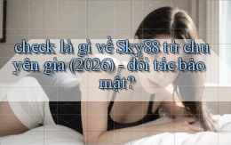 check là gì về Sky88 từ chuyên gia (2026)   đối tác bảo mật