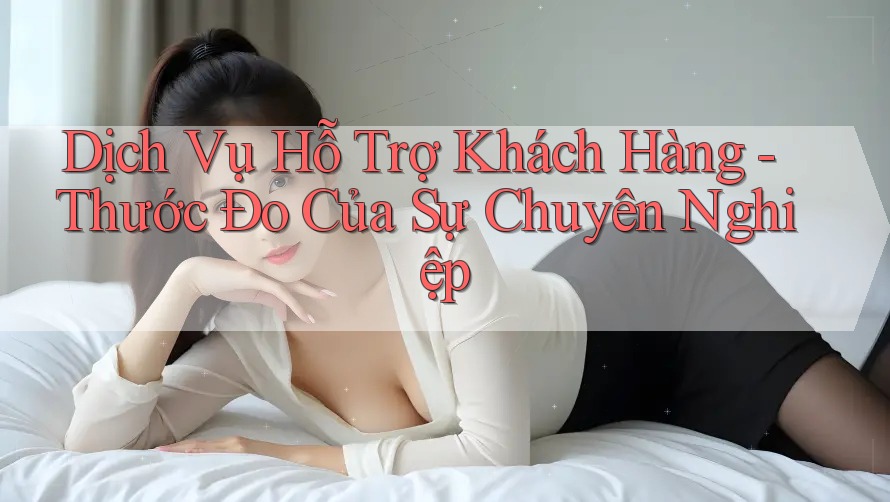 Dịch Vụ Hỗ Trợ Khách Hàng: Thước Đo Của Sự Chuyên Nghiệp