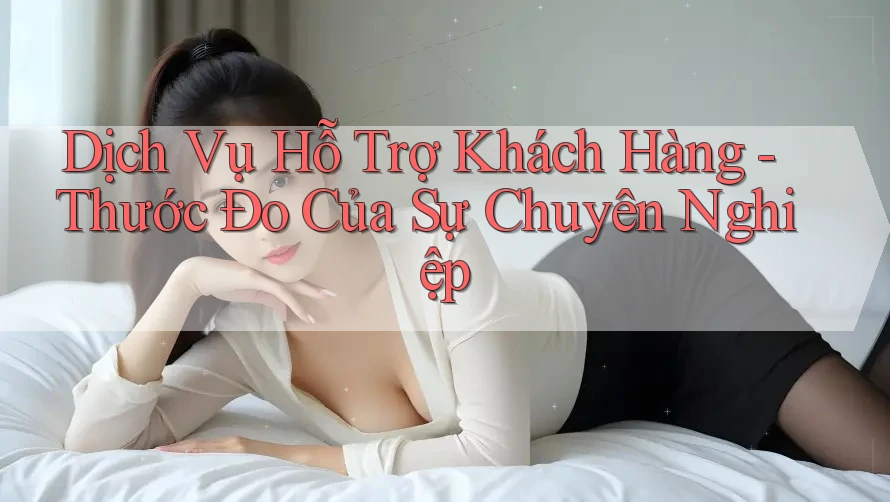 Dịch Vụ Hỗ Trợ Khách Hàng: Thước Đo Của Sự Chuyên Nghiệp
