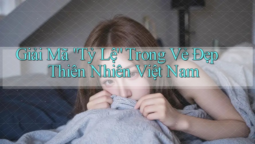 Giải Mã “Tỷ Lệ” Trong Vẻ Đẹp Thiên Nhiên Việt Nam