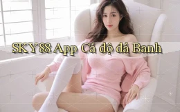 sky88  app cá độ đá banh