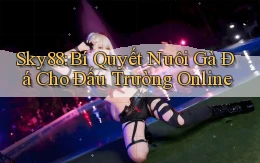 sky88  bí quyết nuôi gà đá cho đấu trường online