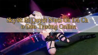 sky88  bí quyết nuôi gà đá cho đấu trường online