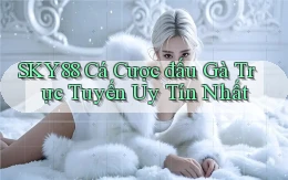 sky88  cá cược đấu gà trực tuyến uy tín nhất