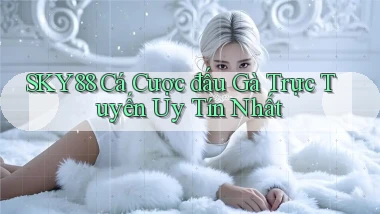 sky88  cá cược đấu gà trực tuyến uy tín nhất