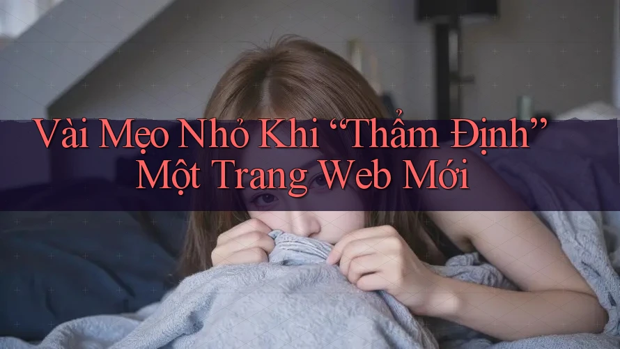 Vài Mẹo Nhỏ Khi “Thẩm Định” Một Trang Web Mới Vài Mẹo Nhỏ Khi “Thẩm Định” Một Trang Web Mới