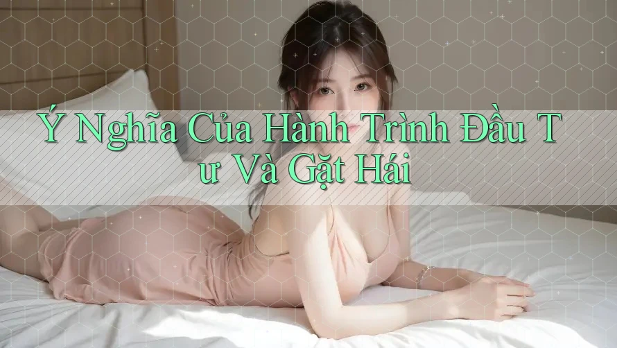 Ý Nghĩa Của Hành Trình Đầu Tư Và Gặt Hái