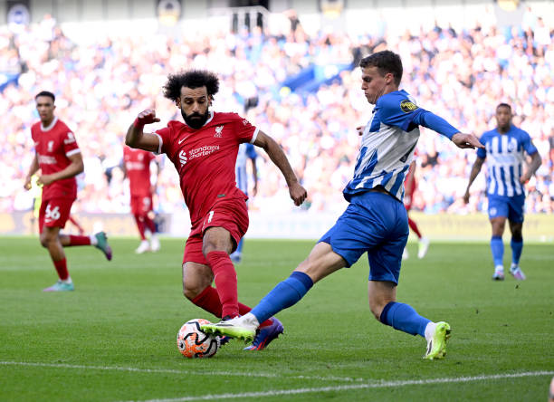 重新崛起的 重新崛起的