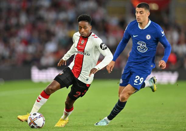 旨在引入年 旨在引入年